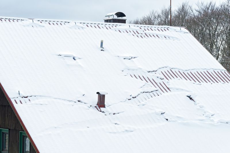 Steel Roof with Snow Load